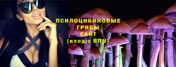 первитин Богородск