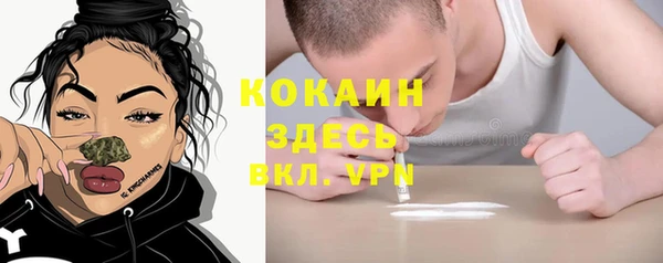 прущий лед Богданович
