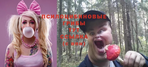 первитин Богородск