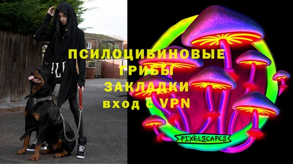 прущий лед Богданович