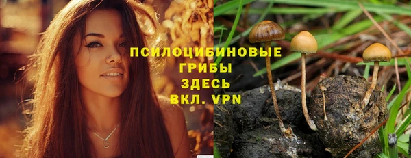 прущая мука Богородицк