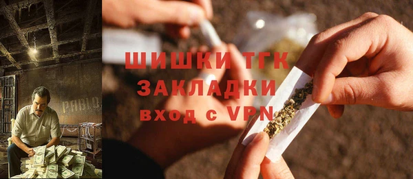 прущий лед Богданович