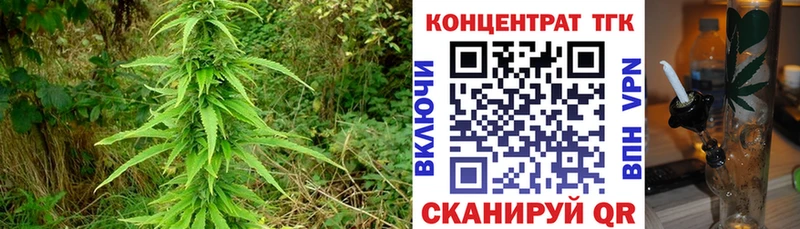 ТГК гашишное масло  где можно купить   Унеча 