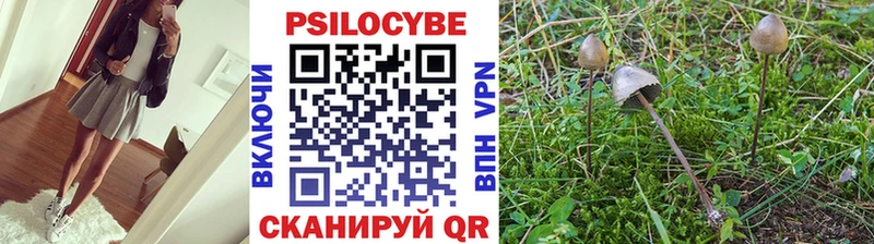 Галлюциногенные грибы GOLDEN TEACHER  Унеча 