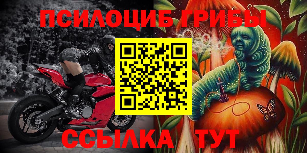 Псилоцибиновые грибы GOLDEN TEACHER Унеча
