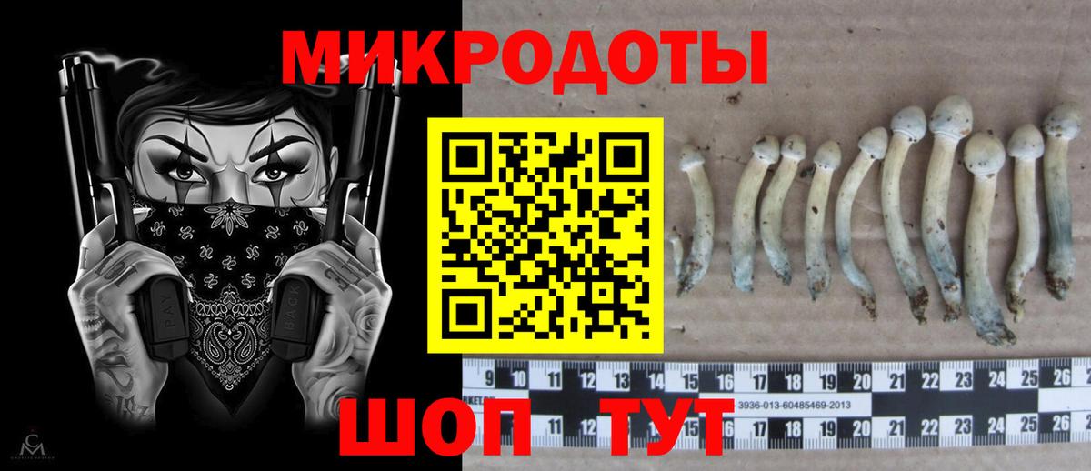Унеча  Галлюциногенные грибы ЛСД  Вход с VPN 